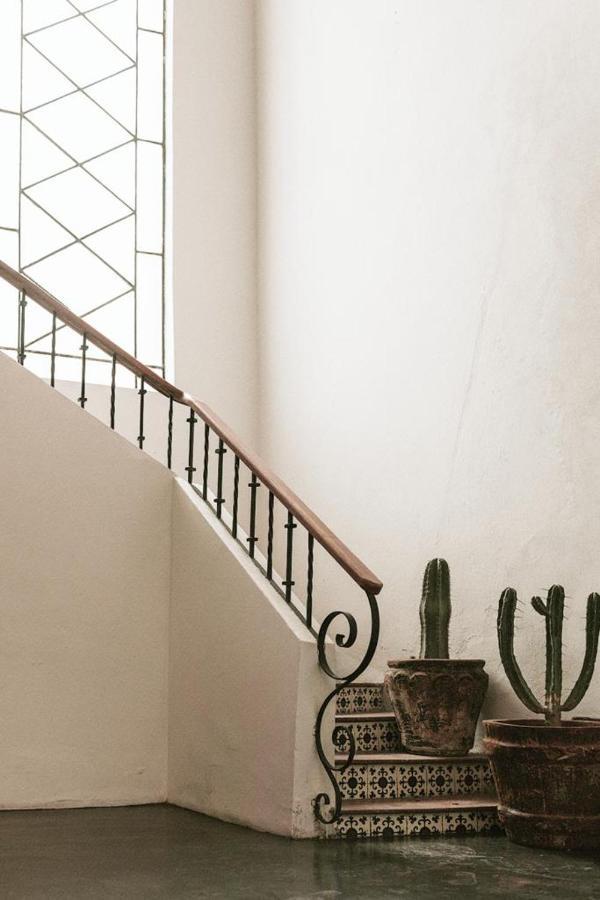 Casa Maka Hotel San Luis Potosí Eksteriør billede